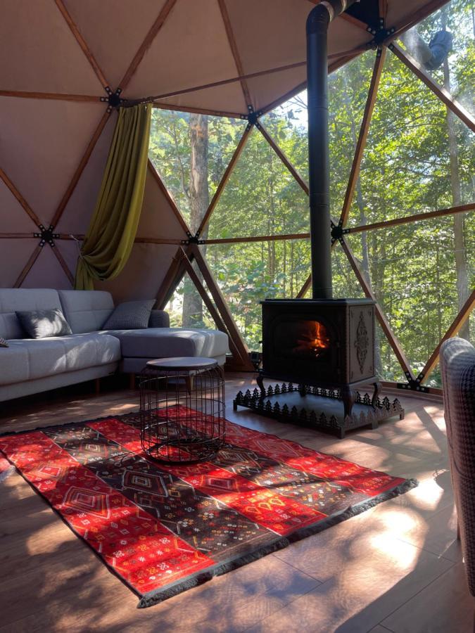 Freedome Lodge