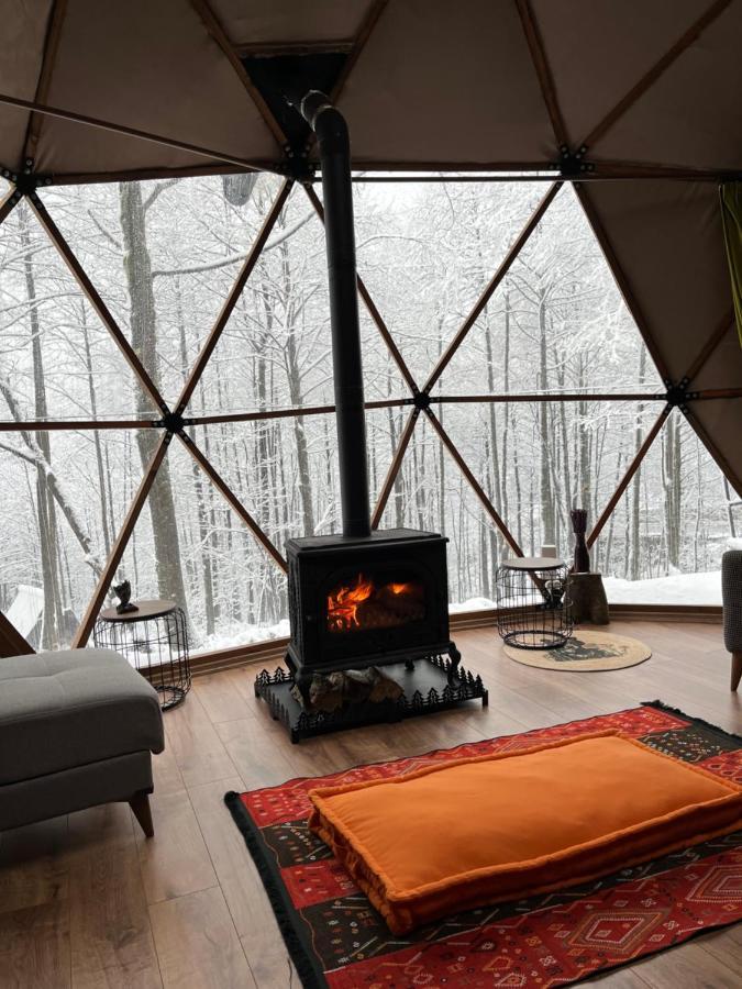 Freedome Lodge *