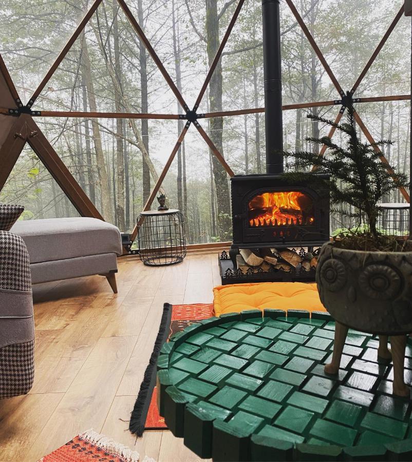 Freedome Lodge