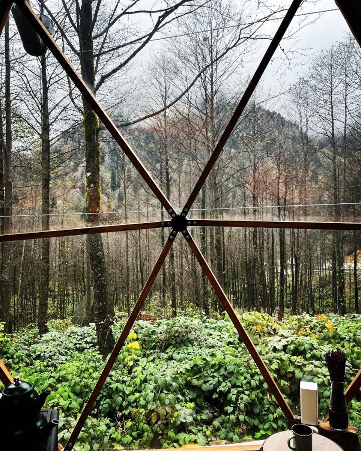 Freedome Lodge
